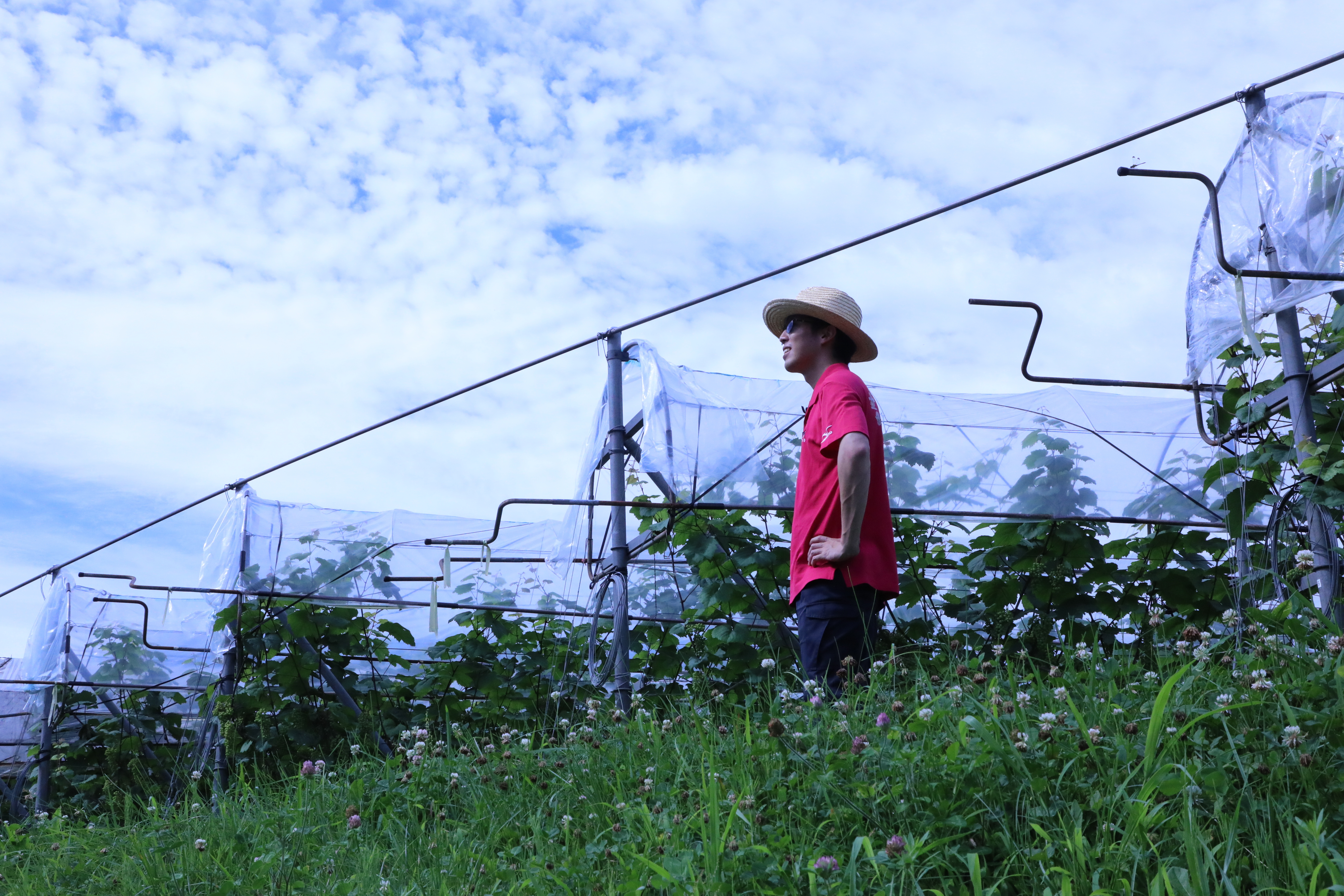 岩手県花巻市｜かんたはうす｜鈴木寛太さんの生産者プロフィール