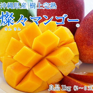 【樹上完熟】燦々マンゴー（沖縄県産）　良品1kg