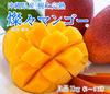 【樹上完熟】燦々マンゴー（沖縄県産）　良品1kg