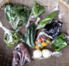 淡路島の旬のお野菜box【農薬不使用/化学肥料不使用】