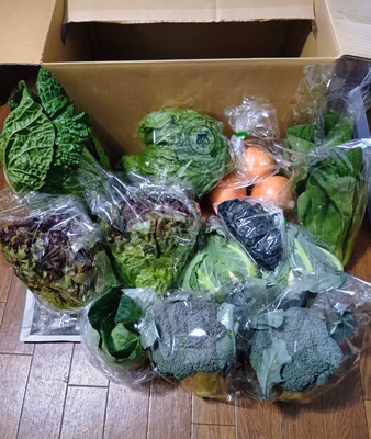 みんなの投稿の画像