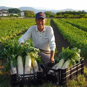 【数量限定】65年以上続く自然農法の旬野菜6点セット！