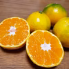 くせになる味！温州みかん《小さいサイズ》