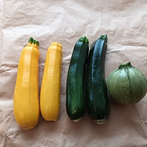 旬の野菜セット 