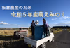 「今摺り米」の令和５年産【萌えみのり】