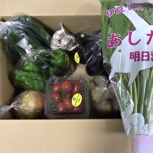 三宅島産 5~7種の春~夏野菜BOX
