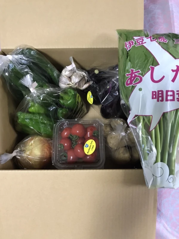 三宅島産 5~7種の春~夏野菜ボックス