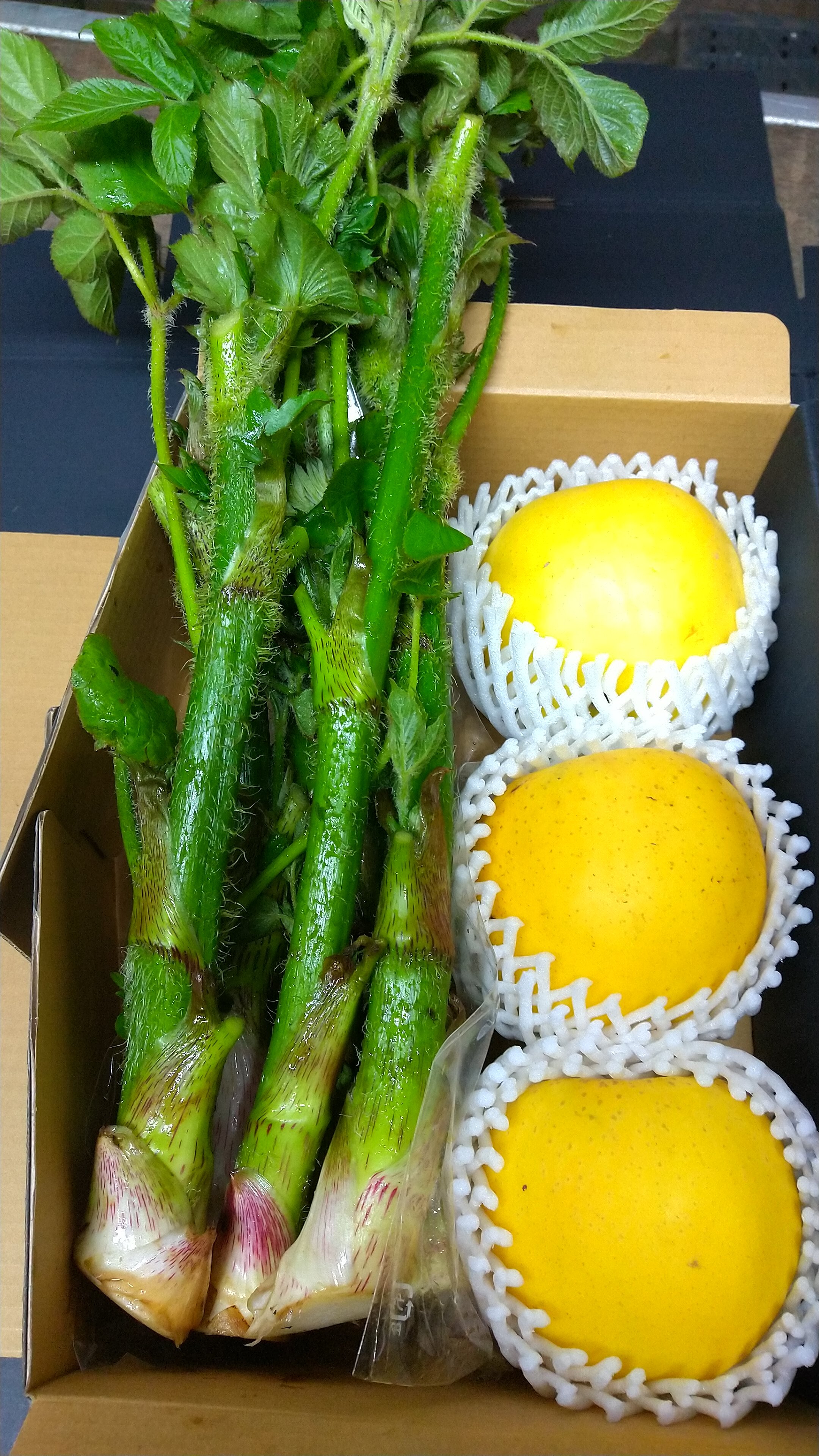 '26ウド&りんご✨大地の恵みセット りんご5〜6個(約2kg)+ウド(約1kg)