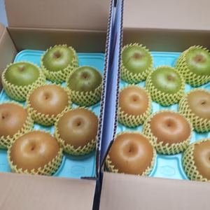 B-AN3 『自家用』あきづき&二十世紀食べ比べ 3キロ(7.8玉) 