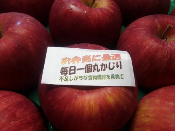 数量限定《弁当リンゴ》旬の品種をお届け