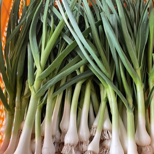 【農家直送】朝どれ　新鮮野菜　葉にんにく