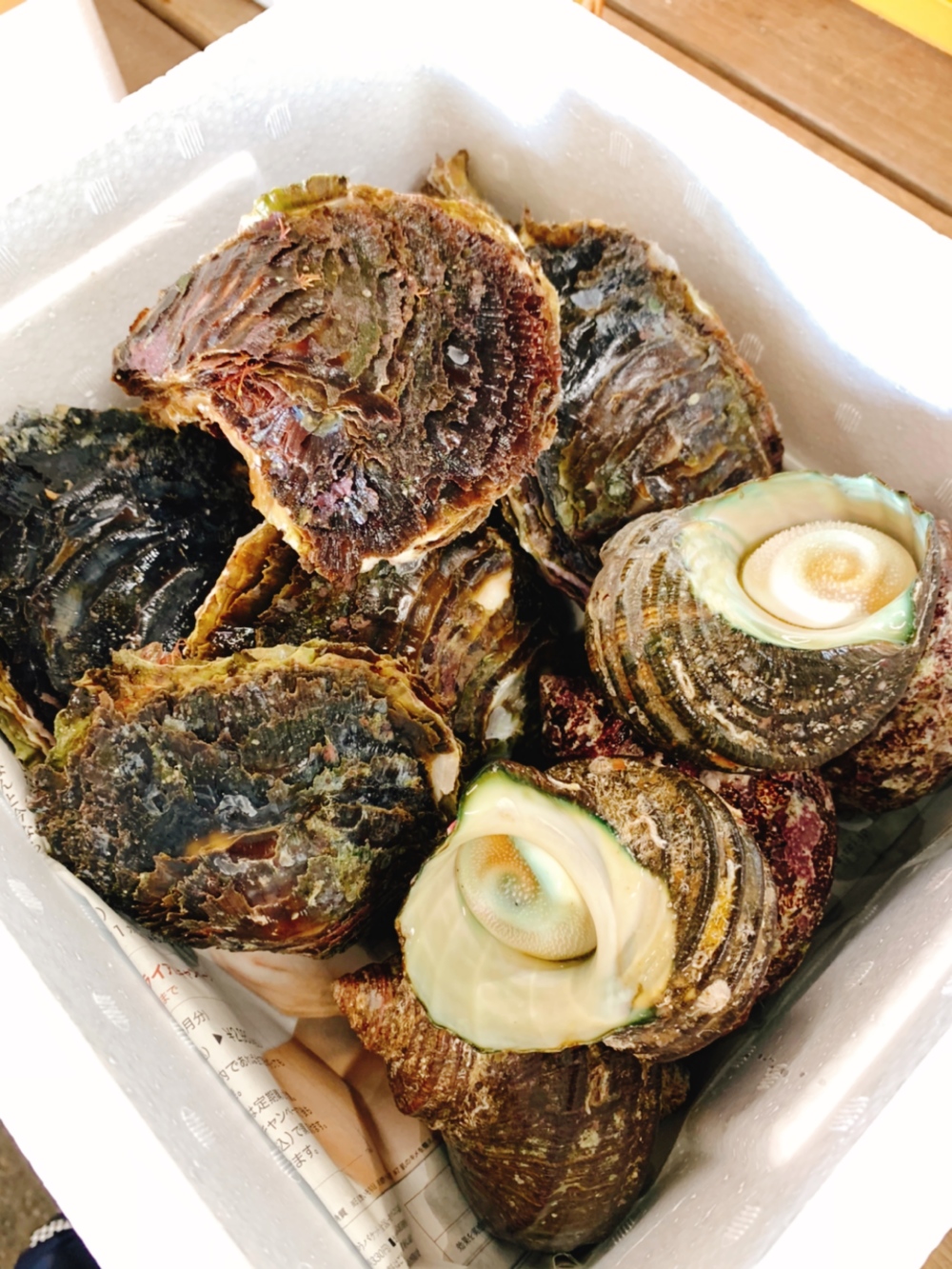 天然岩牡蠣2kg サザエ1kg 超豪華bbqセット 生食もok 農家漁師から産地直送の通販 ポケットマルシェ