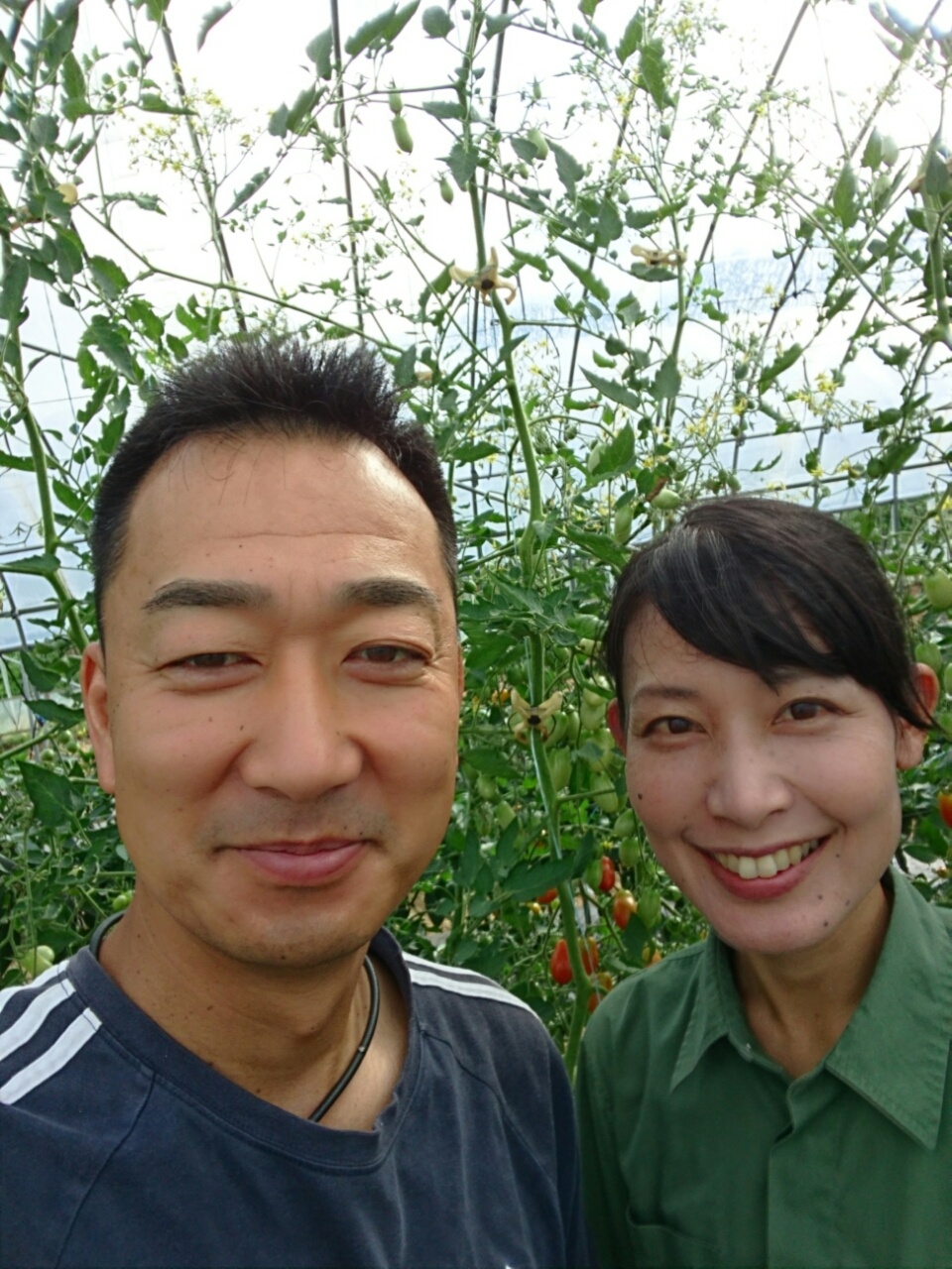 がもう農園 旬やさいの通販 蒲生誠市さん 農家漁師から産地直送の通販 ポケットマルシェ