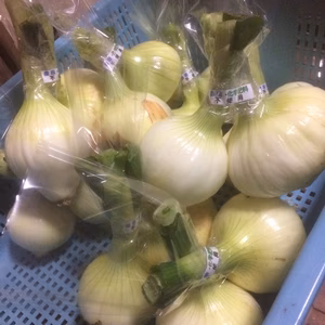 淡路島新玉ねぎ(農薬化学肥料不使用・固定種)