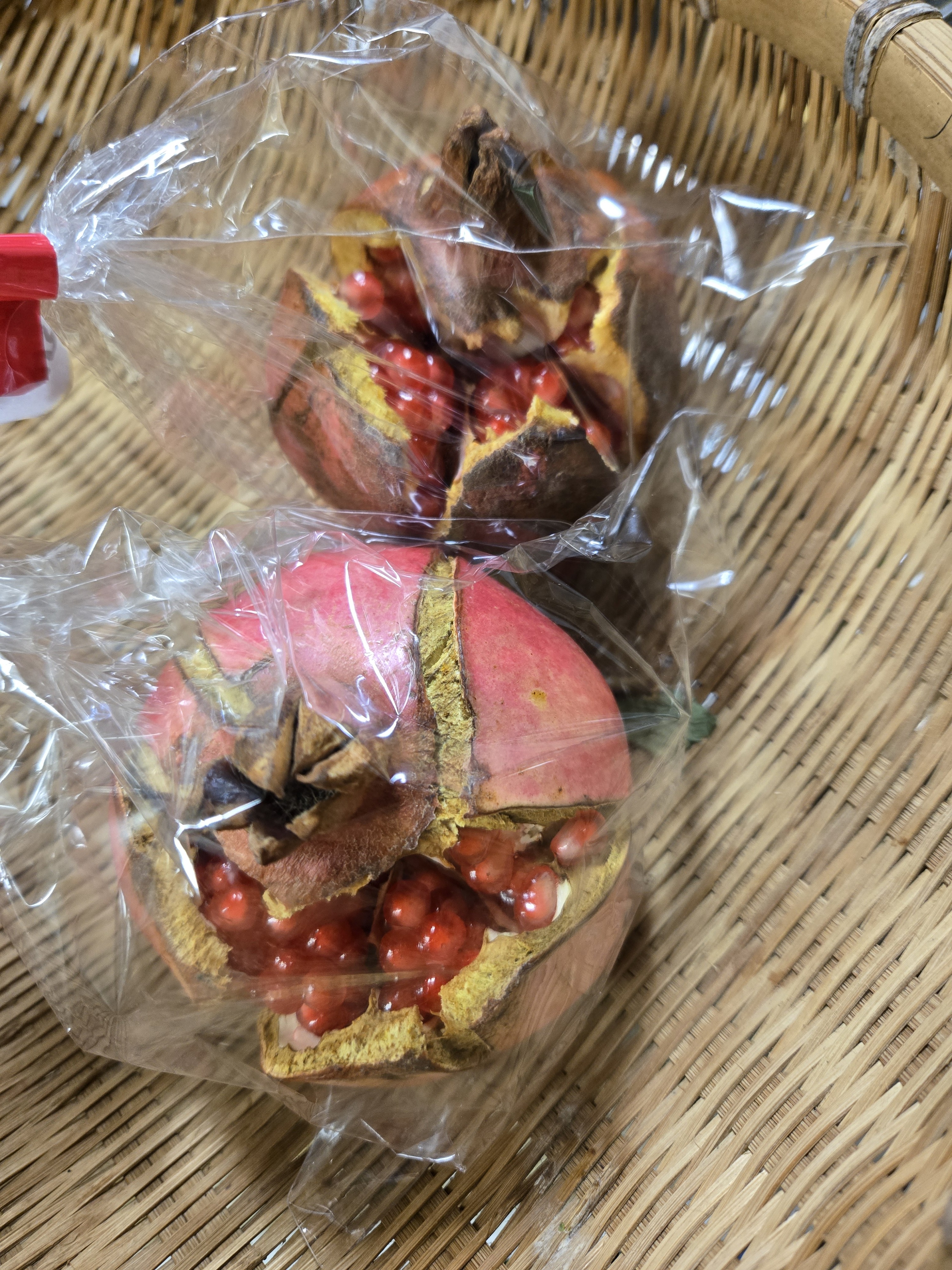 その他すべての果物の通販・お取り寄せ商品｜果物｜ポケット