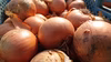 じゃがいも　玉ねぎセット