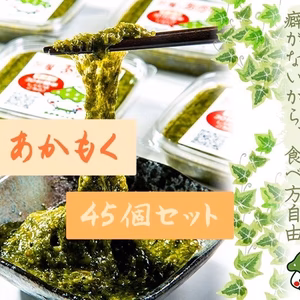 玄界灘産 アカモク ４５個セット ギバサ 海藻