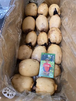 みんなの投稿の画像