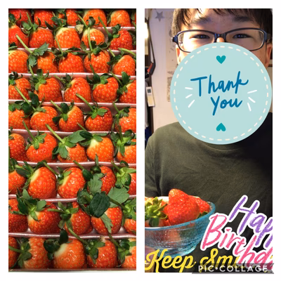 みんなの投稿の画像