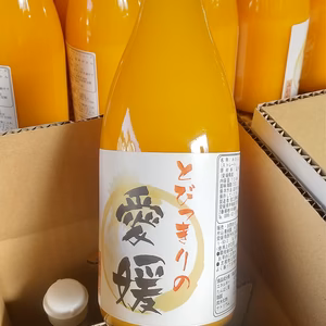 売り切り値下げ中　農家直送100％みかんジュース(きよみ)　