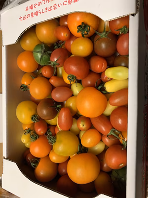 みんなの投稿の画像