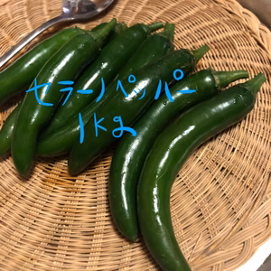 セラーノペッパー1k！選べるおまけ唐辛子付き！