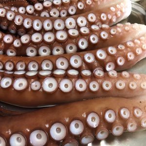 　訳あり【無添加】北三陸産　茹でタコ足、頭　約1kg