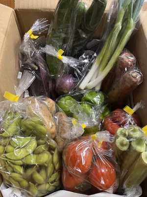 みんなの投稿の画像