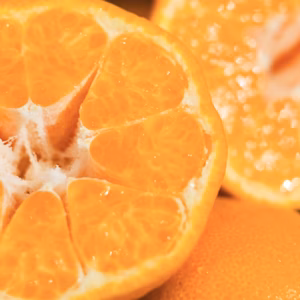 【甘味と酸味のバランスが絶妙】ポンカン 愛媛県産 家庭用 ぽんかん