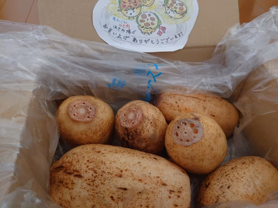 みんなの投稿の画像