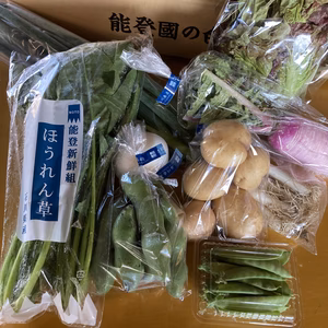 【能登復興支援！】夏の能登からお届け♪やさしい野菜セット(7種)