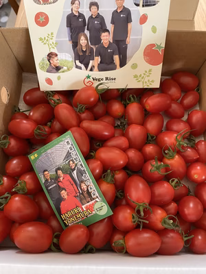 みんなの投稿の画像