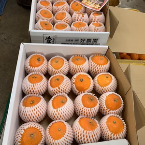 【ギフト用】まどんな 化粧箱入　12個〜16個入　no1