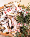 【お試しに♪】原木育ちのスライスしいたけ（クリックポスト便）