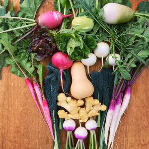 【冬季限定】糸島産 冬の無農薬野菜セット | 旬の9〜11種おまかせ詰め合わせ