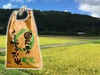 令和5年産　宮崎県産コシヒカリ 20kg 無洗米