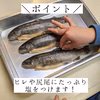 おうちで塩焼き！イワナ5尾セット（石川県産・冷凍・養殖・内臓処理済み）