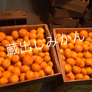 和歌山産 蔵出し みかん 超大玉