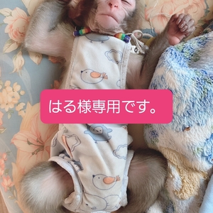 はる様専用です。