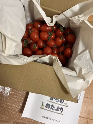 みんなの投稿の画像