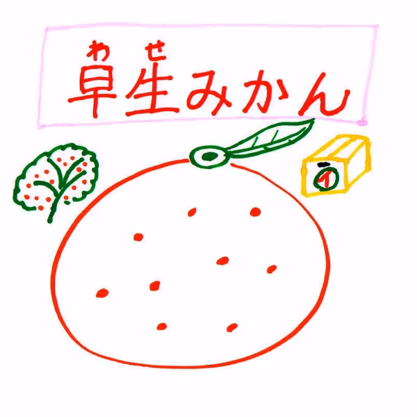 ★【酸味がおいしさの秘密】極うま酸★早生★有田みかん  予約11月発送