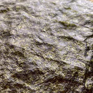 【ポケマルの夏ギフト】限定！2022年度プレミアム大判缶