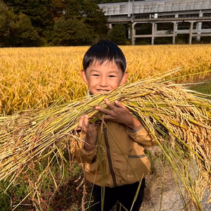【青森・外ヶ浜ファーム直産】新米 はれわたり 10kg