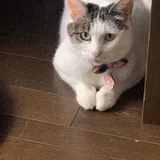 ひとみんままま