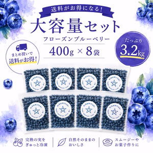 【送料お得な大容量】フローズンブルーベリー　400g×8袋（3.2㎏）
