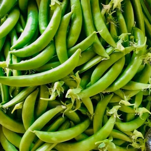（Ａ級品）甘さはじけるスナップエンドウ