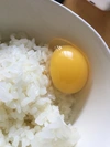 【淡路島産】烏骨鶏の卵(nonGMO飼料給餌/平飼い)