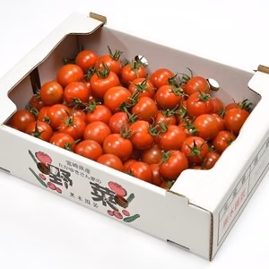 黒木園芸のフルティカ