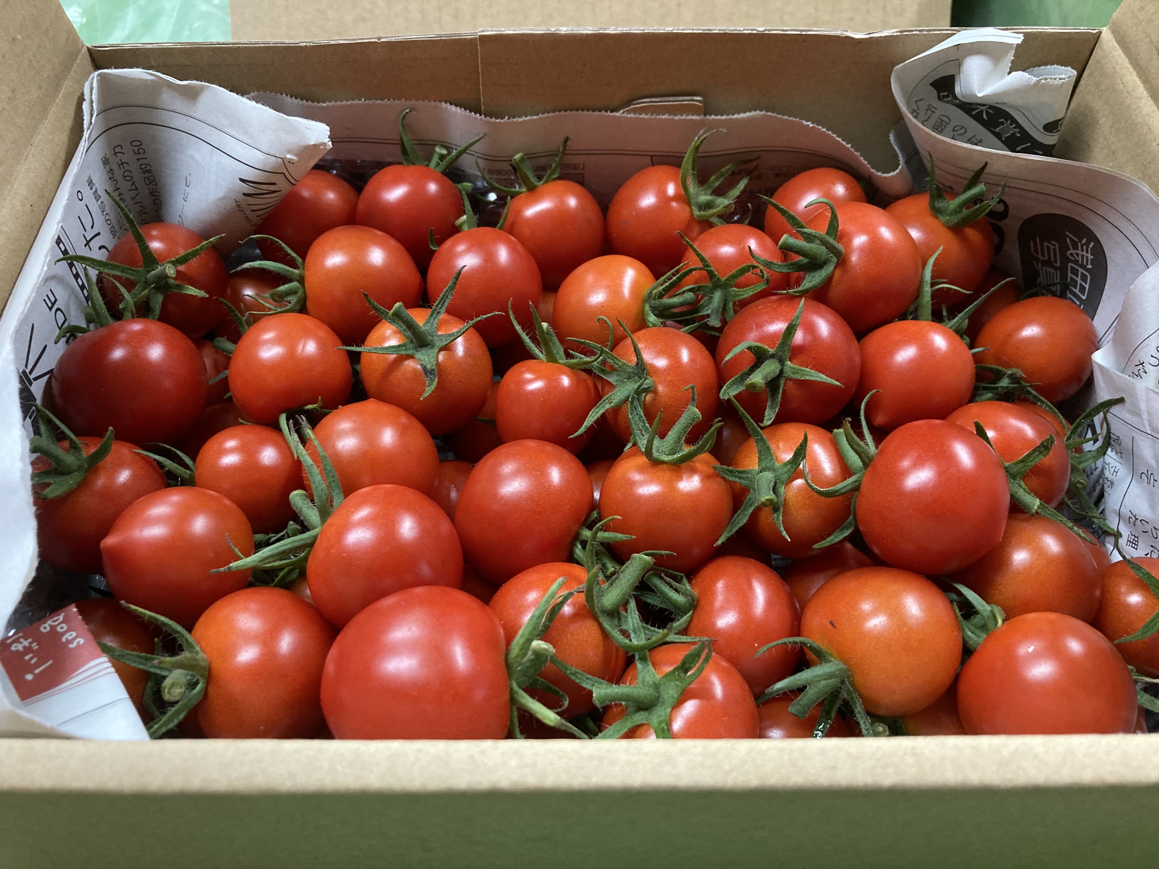 トマトのミネラル感じてみませんか 800グラム 農家漁師から産地直送の通販 ポケットマルシェ