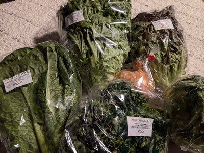 みんなの投稿の画像